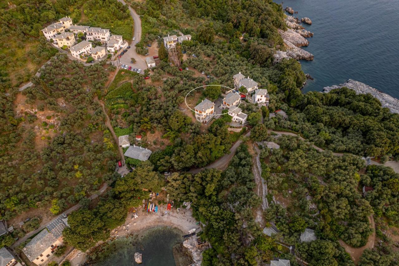 Olive House In Damouchari With A Sea View - Delicious Houses מראה חיצוני תמונה